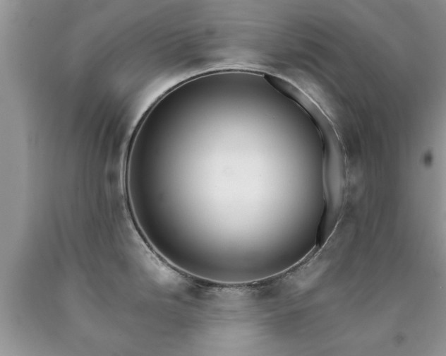 X0000090501246200707201540