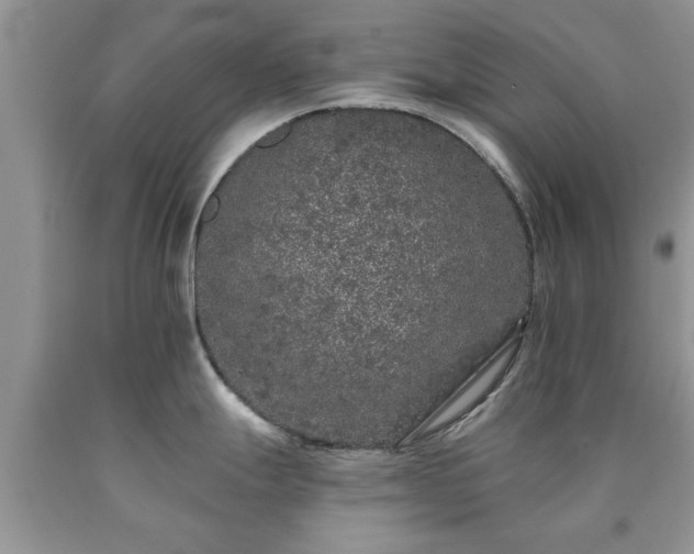 X0000090501247200707201540