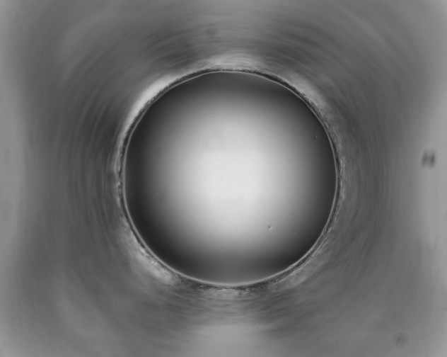 X0000090501248200707201540
