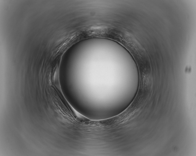 X0000090501250200707201539