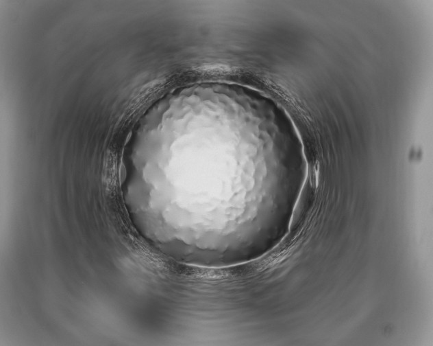 X0000090501251200707201539