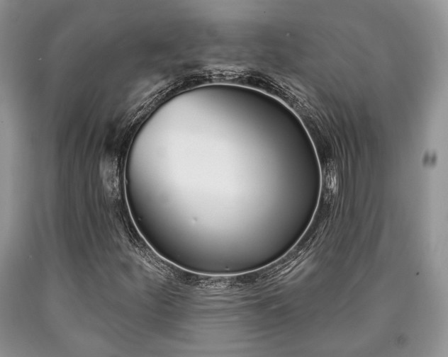 X0000090501252200707201539
