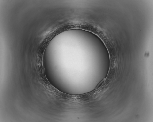 X0000090501253200707201539