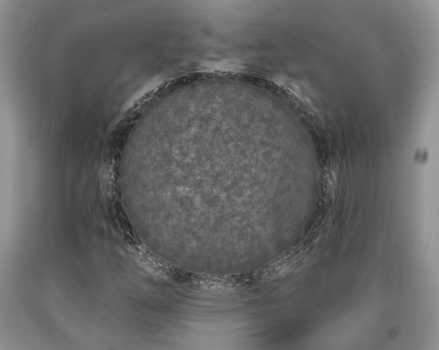 X0000090501254200707201539