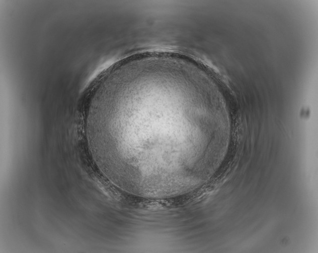 X0000090501255200707201539