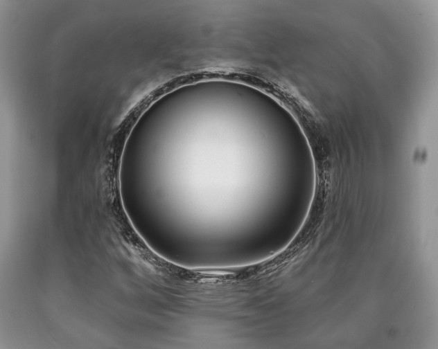 X0000090501256200707201539