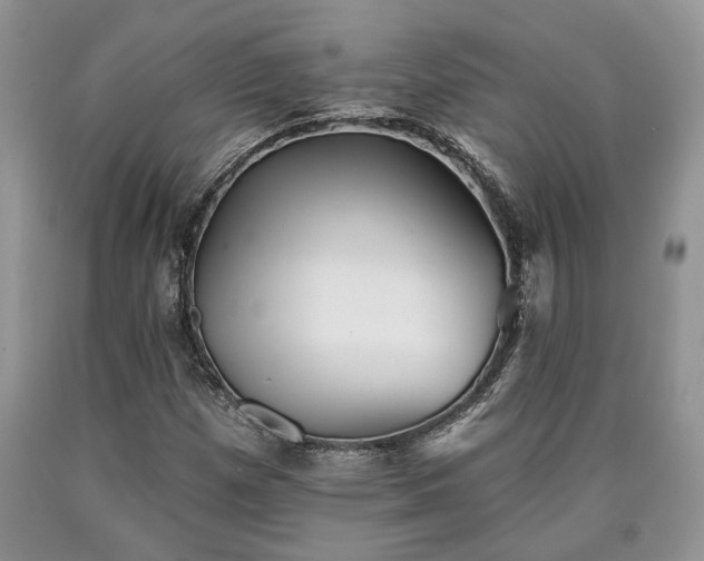 X0000090501257200707201539