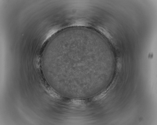 X0000090501258200707201539