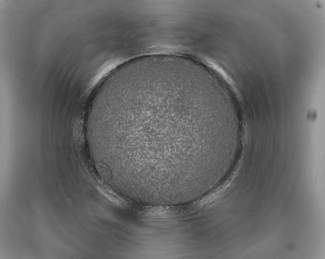 X0000090501259200707201539