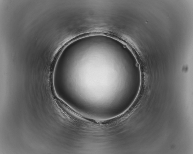 X0000090501260200707201539