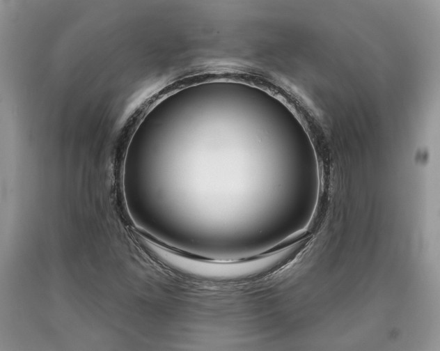 X0000090501261200707201539