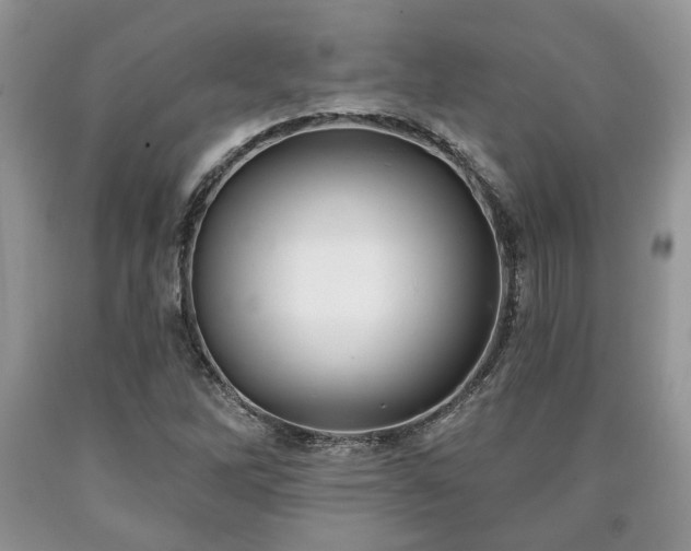 X0000090501262200707201539