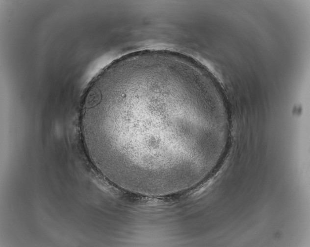 X0000090501263200707201539