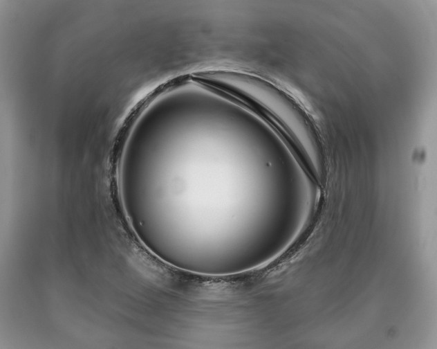 X0000090501264200707201539