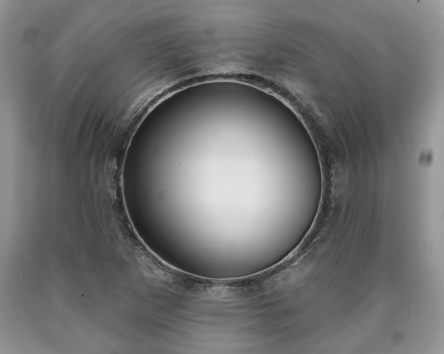 X0000090501265200707201539