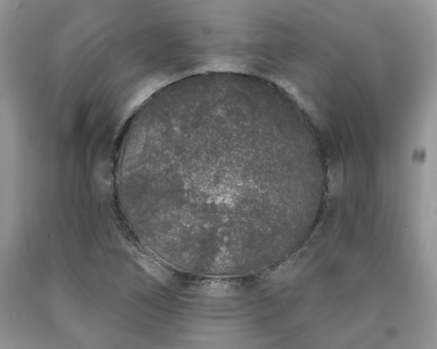 X0000090501266200707201539