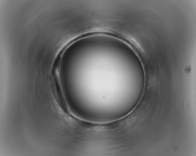 X0000090501268200707201539