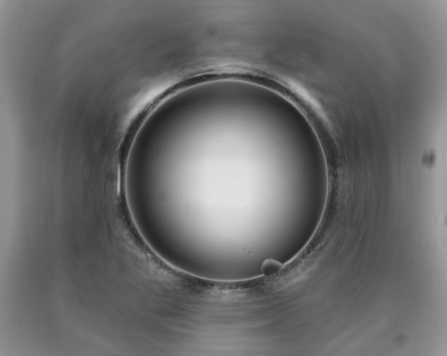X0000090501269200707201539