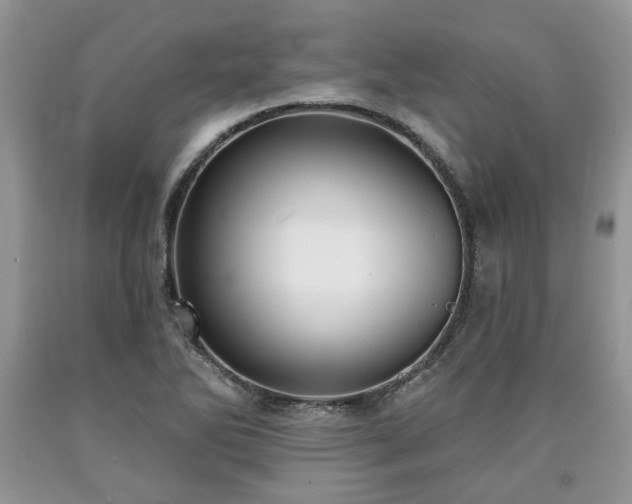 X0000090501270200707201539