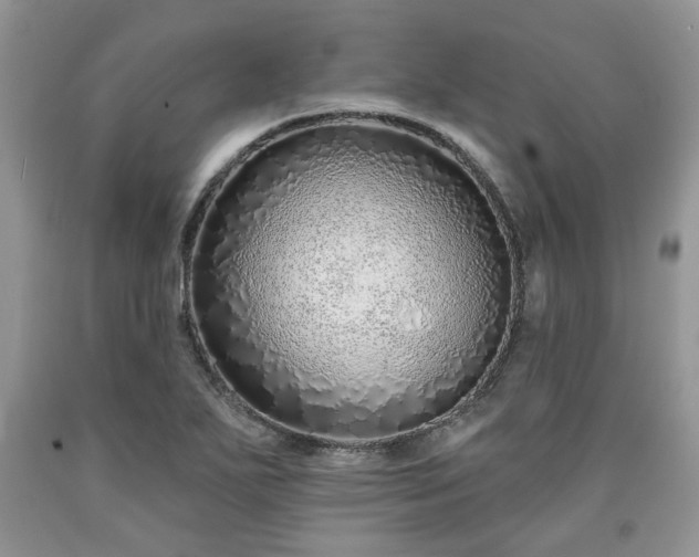 X0000090501271200707201539