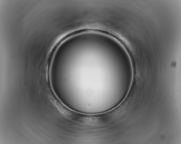 X0000090501272200707201539