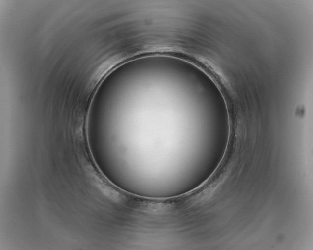 X0000090501273200707201539