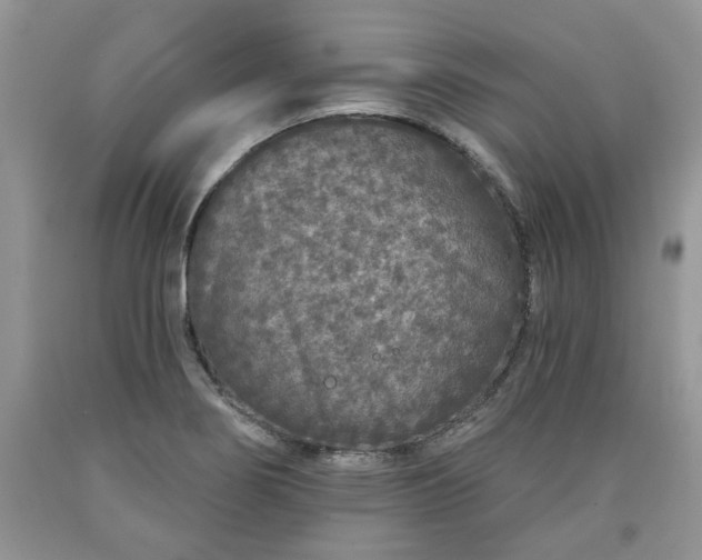 X0000090501274200707201538