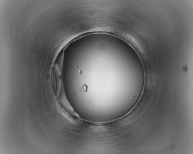 X0000090501276200707201538