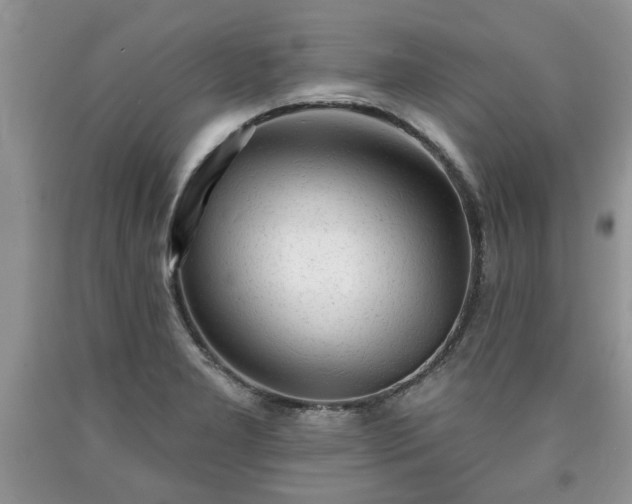 X0000090501277200707201538
