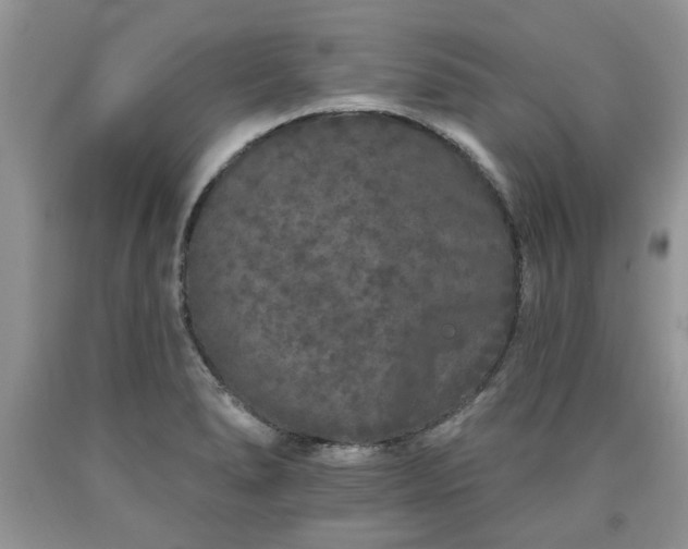 X0000090501278200707201538