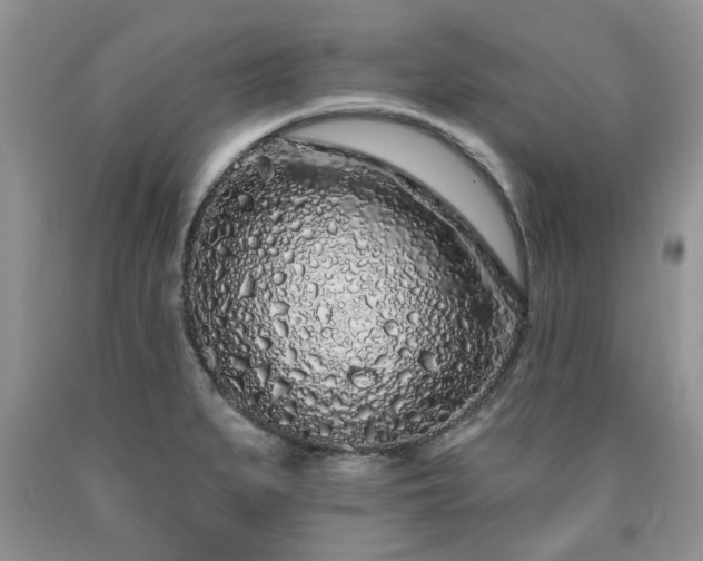 X0000090501279200707201538