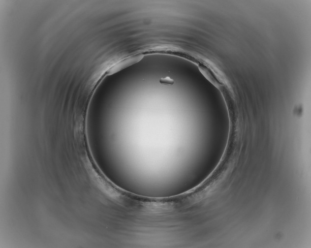 X0000090501281200707201538