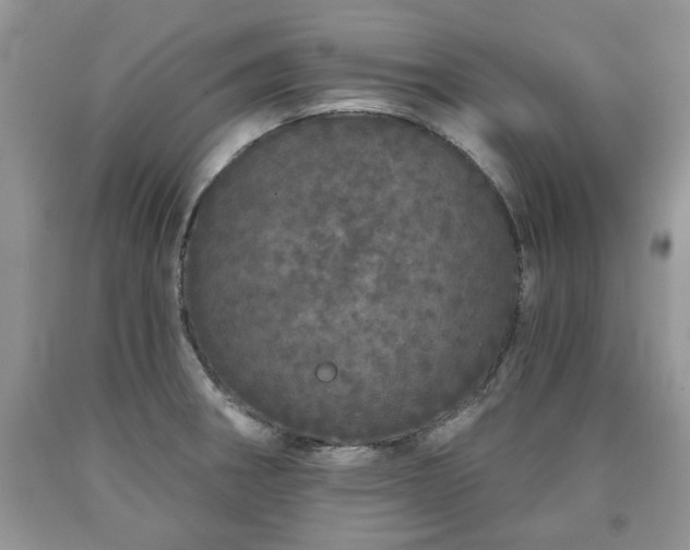 X0000090501282200707201538