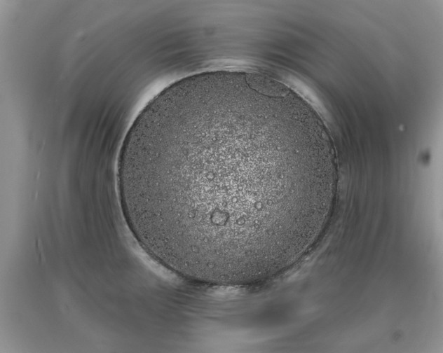 X0000090501283200707201538