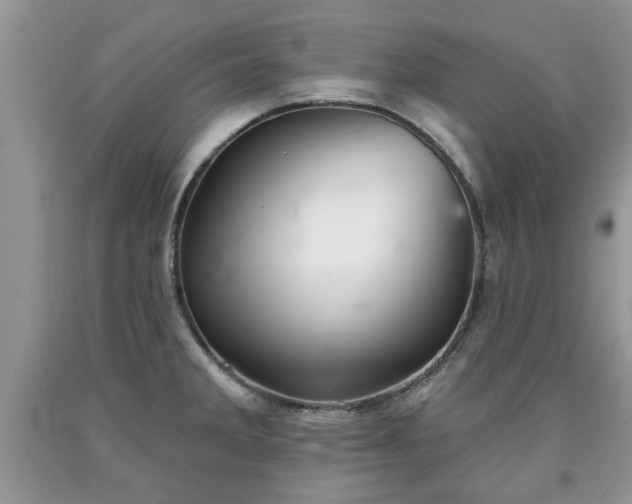 X0000090501285200707201538