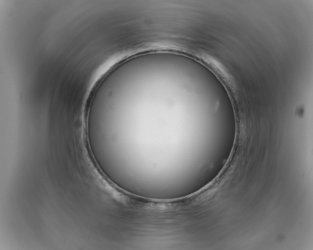 X0000090501286200707201538