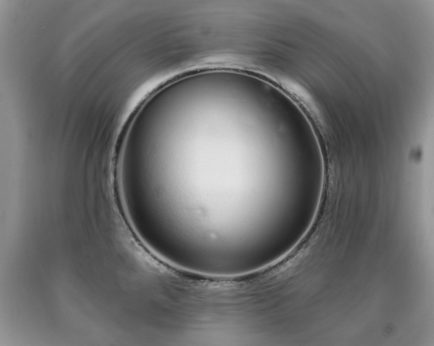 X0000090501288200707201538