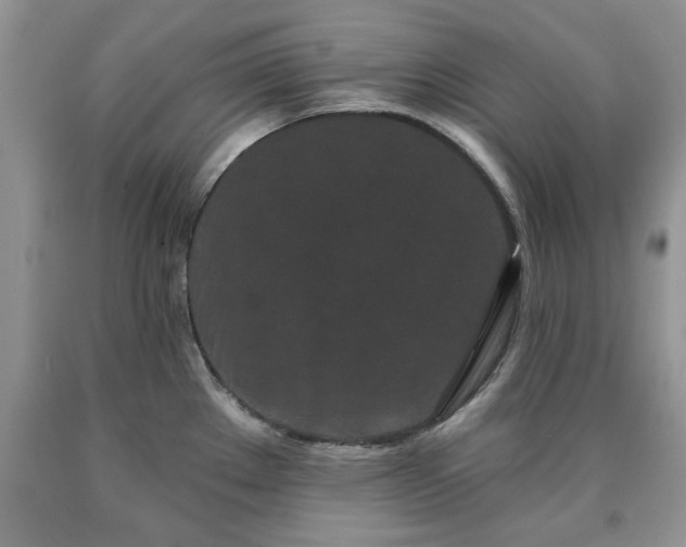 X0000090501289200707201538