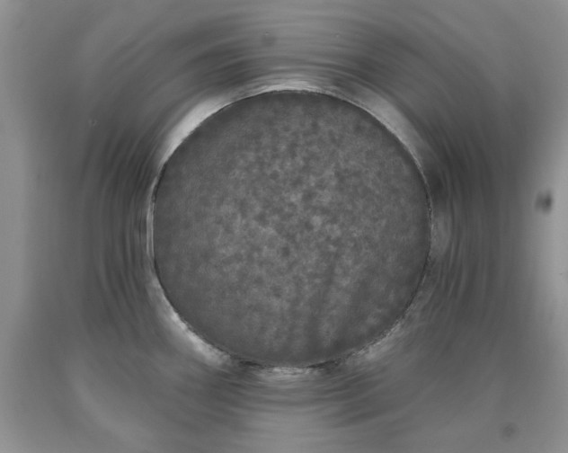 X0000090501290200707201538