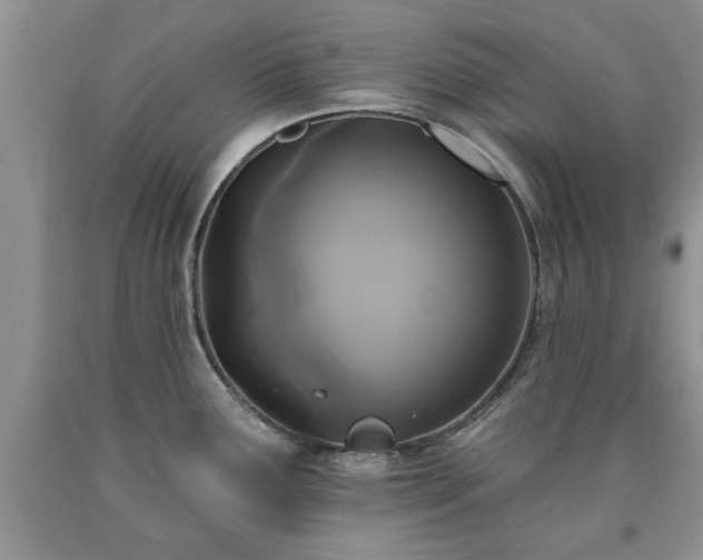 X0000090501291200707201538