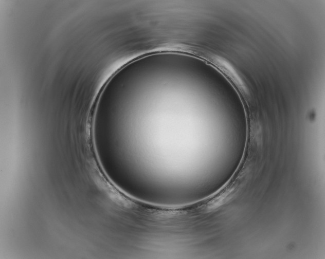 X0000090501292200707201538
