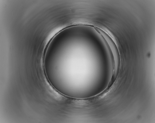 X0000090501293200707201538