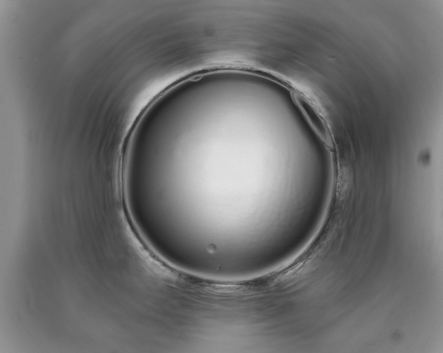 X0000090501295200707201538