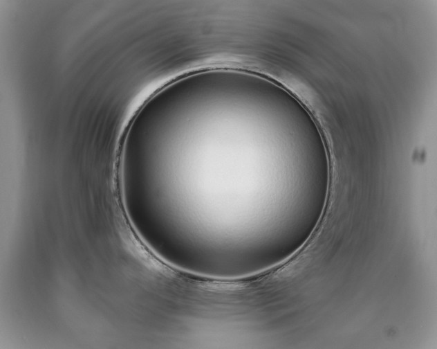 X0000090501296200707201538