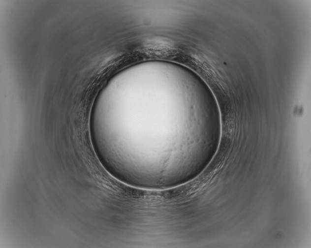 X0000090501297200707201538