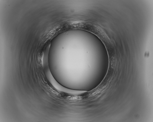 X0000090501298200707201538