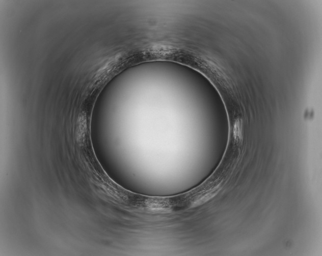 X0000090501299200707201538