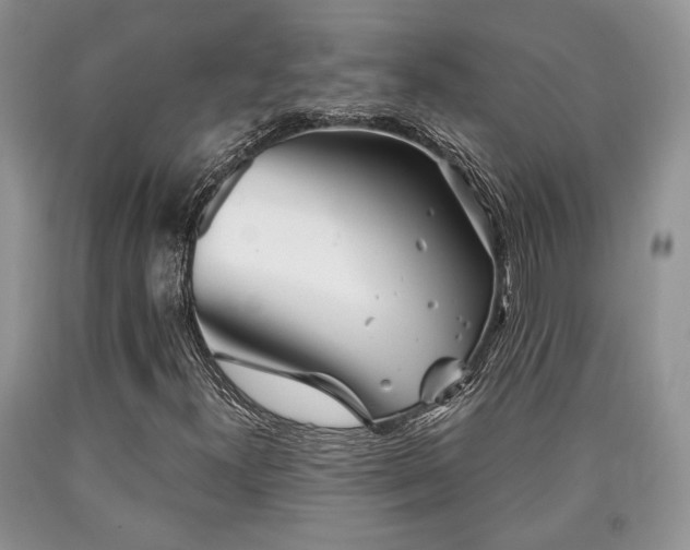 X0000090501300200707201538