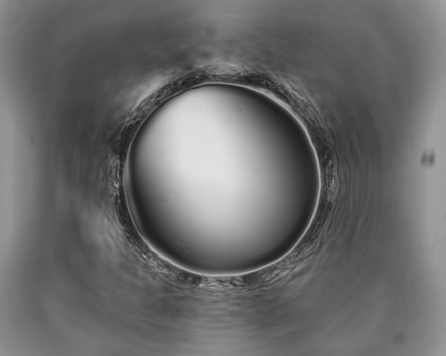 X0000090501301200707201538
