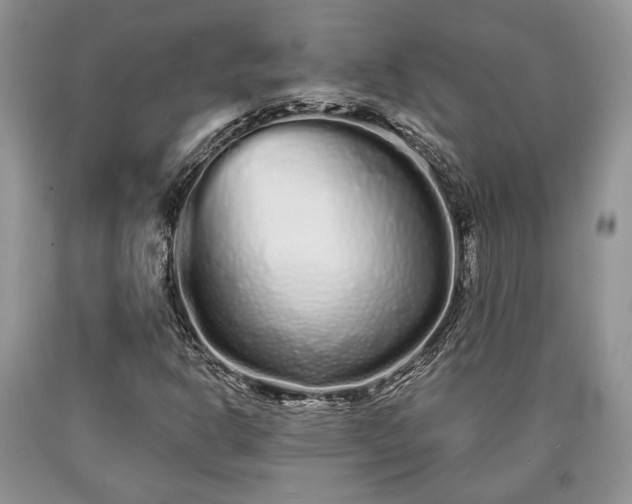 X0000090501302200707201538